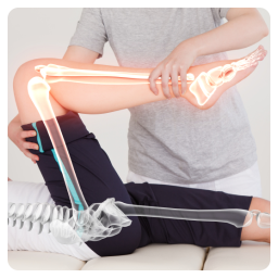 Bone Health