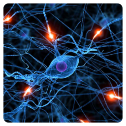 Nerve Health